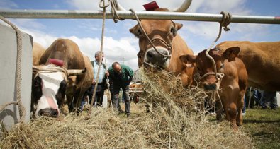 Asturias Rural