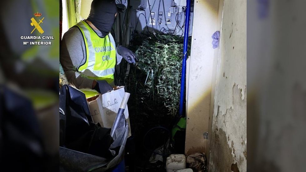 Imagen de la intervención en la plantación indoor desmantelada en Las Cabezas de San Juan (Sevilla).