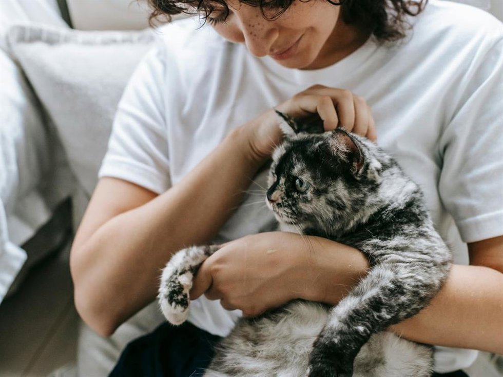 Menos culpa y más tranquilidad: dejar a tu gato en manos de alguien que realmente lo entiende ya es posible