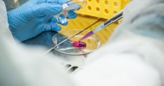 Investigación