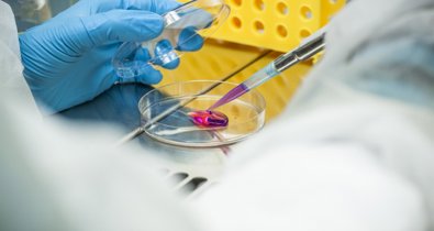 Investigación