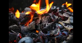 Las cenizas del asado: por qué son valiosas y como aprovecharlas