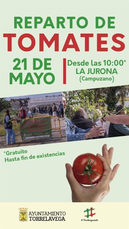 Torrelavega repartirá este jueves 15.000 plantones de tomate de variedades antiguas