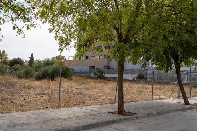 Parcela destinada a nuevas VPO dentro del plan municipal de vivienda.