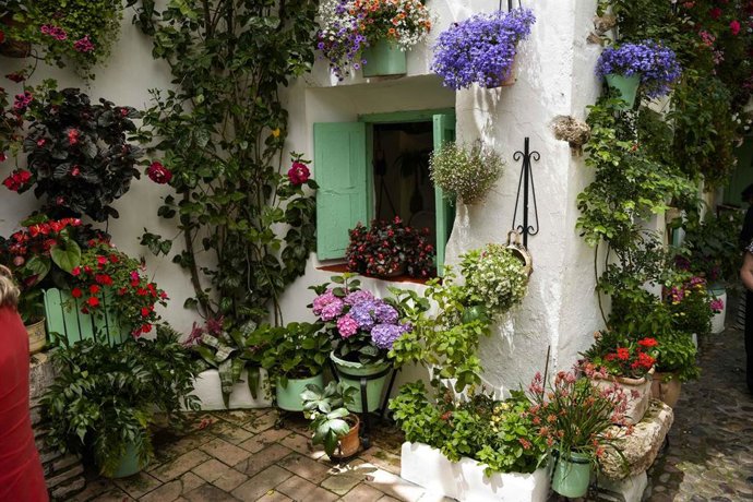 Imagen de uno de los espacios que concursa en la Fiesta de los Patios. A 5 de mayo de 2026 en Córdoba (Andalucía, España).