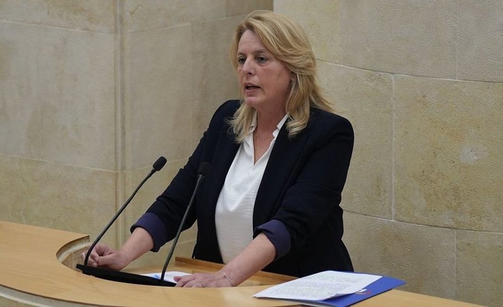 Archivo - La consejera de Desarrollo Rural, María Jesús Susinos, en el Parlamento