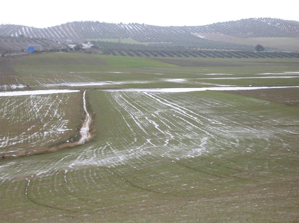 La Asociación de Jóvenes Agricultores y Ganaderos Asaja en Granada considera insuficiente la reducción de los índices de rendimiento neto del IRPF aprobada para la campaña de la Renta