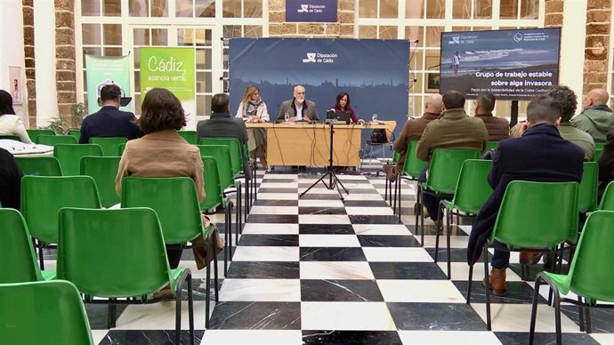 Grupo de Trabajo estable sobre el alga invasora entre Diputación de Cádiz y ayuntamientos afectados. ARCHIVO.