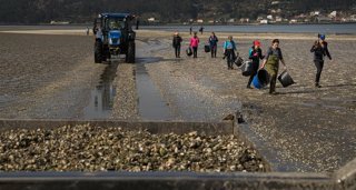 Pesca Galicia