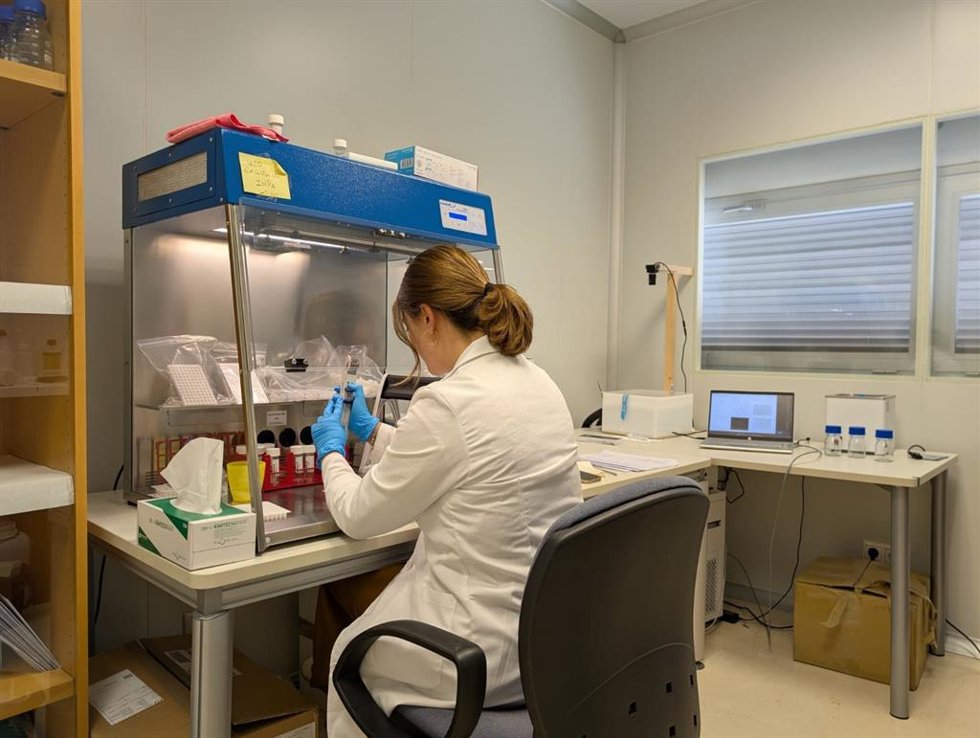 La investigación ha sido liderada por Elena Bazo, estudiante predoctoral de la  Universidad de Granada, bajo la supervisión de los profesores Gloria Titos y Alberto Cazorla, del Departamento de Física Aplicada y del Iista