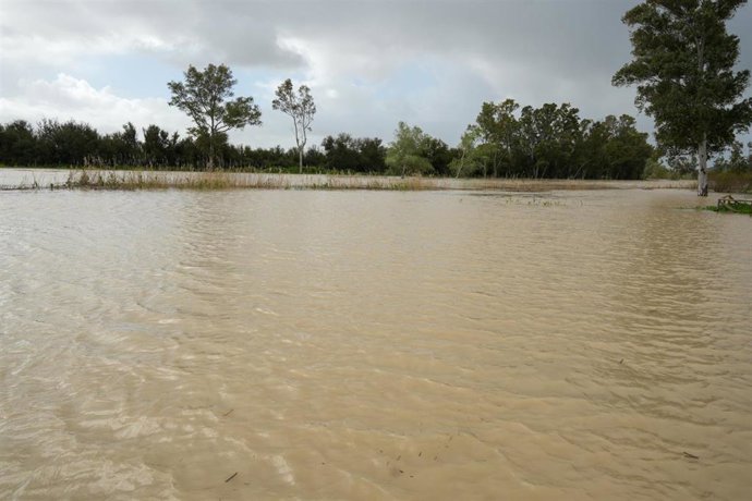 Archivo - Imágenes de la crecida del río Guadalete a su paso por la Campiña de Jerez de la Frontera (Cádiz) en 2025 debido a las fuertes lluvias. ARCHIVO