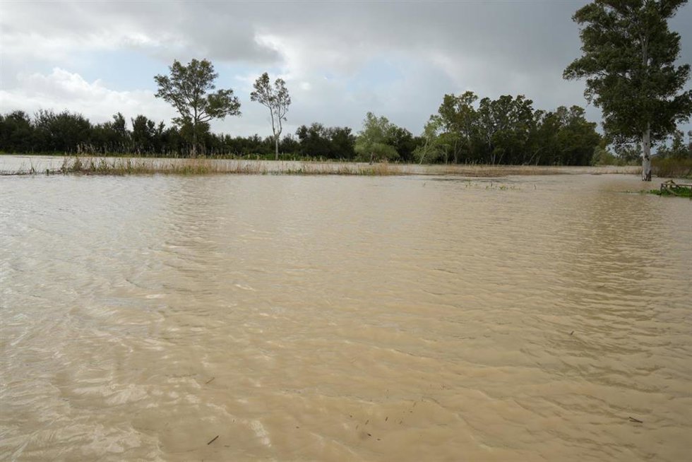 Archivo - Imágenes de la crecida del río Guadalete a su paso por la Campiña de Jerez de la Frontera (Cádiz) en 2025 debido a las fuertes lluvias. ARCHIVO