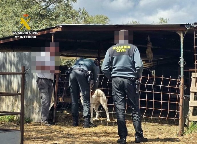 Agentes de la Guardia Civil inspeccionan una finca