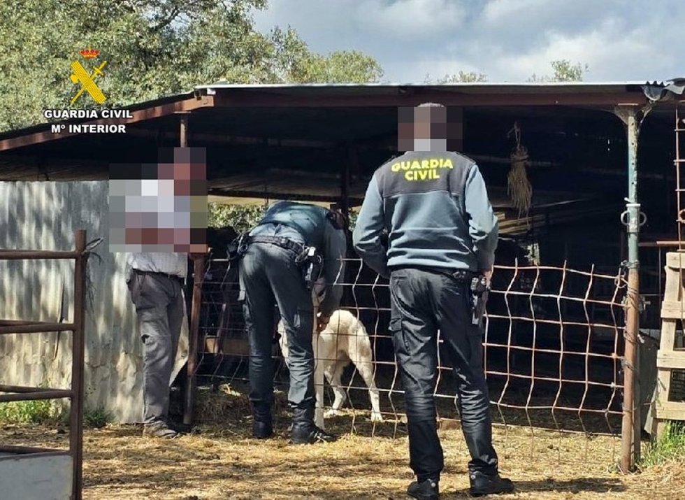 Agentes de la Guardia Civil inspeccionan una finca