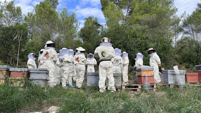 LG e Iryo suman esfuerzos en la repoblación de la abeja ibérica