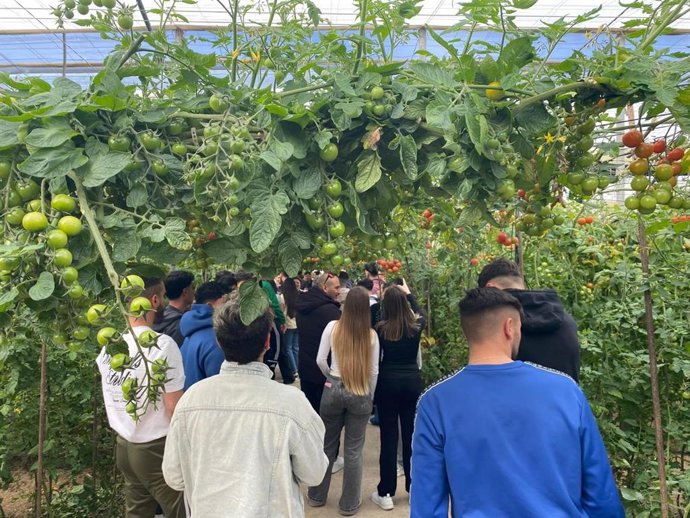 Un ccurso de cualificación de técnicos en Producción Integrada en un centro del Ifapa.