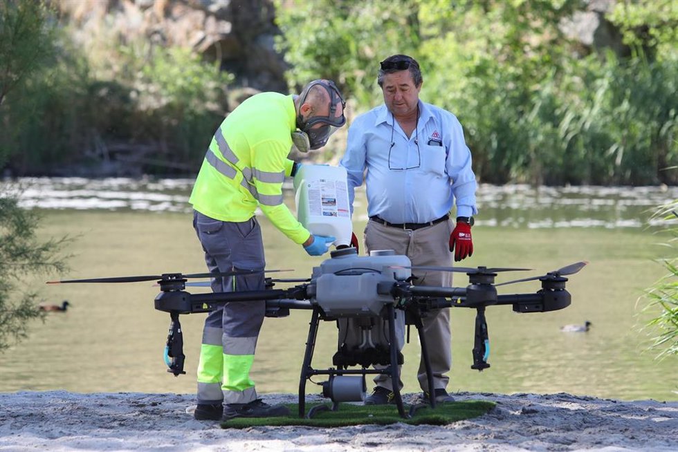 Dron de fumigación contra la mosca negra en Toledo.