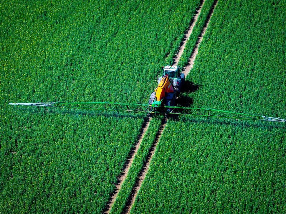Archivo - Una fotografía aérea tomada con un dron muestra a un tractor arrastrando una máquina de fumigación sobre un campo de colza mientras rocía pesticidas.