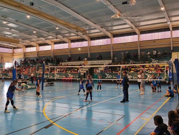 Uno de los partidos del torneo provincial Día de la Provincia que organiza la Diputación, disputado en la localidad de Bormujos.