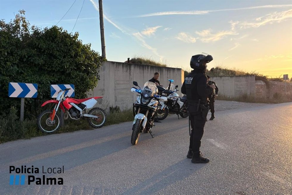 Un agente de la Policía Local de Palma.