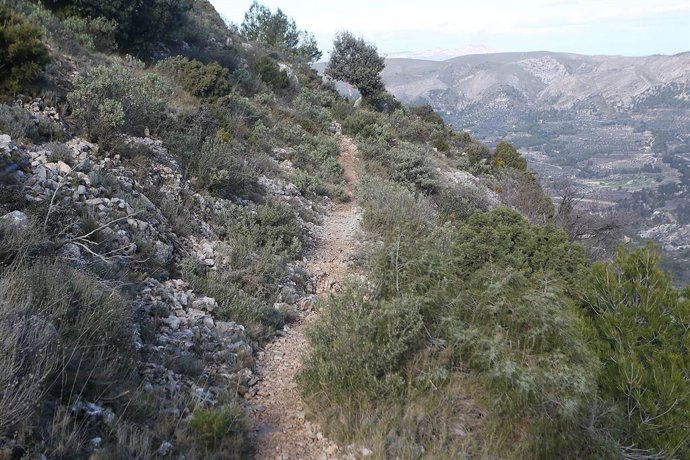 Archivo - Arxiu- La Diputació obri el termini per a demanar tres convocatòries d'ajudes en matèria de Medi ambient