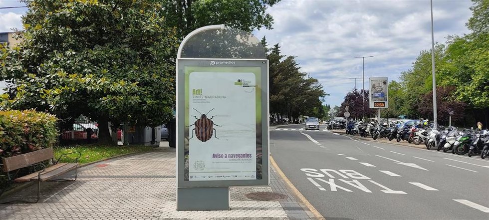Campaña de divulgación sobre biodiversidad urbana