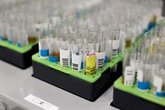 Foto: Diseñan un método para activar con luz una molécula que elimina células madre del cáncer de mama
