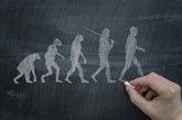 Foto: Los neandertales no tenían cerebros 'peores': las diferencias con los humanos modernos habrían sido mínimas