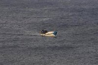 Interceptan a 15 inmigrantes en Formentera
