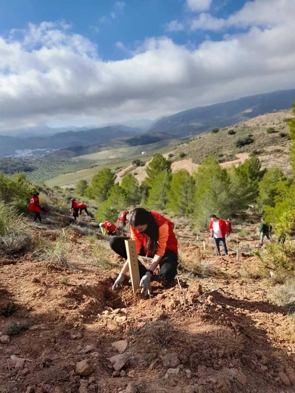 Voluntarios de Cruz Roja plantando árboles para compensar la huella de CO2.