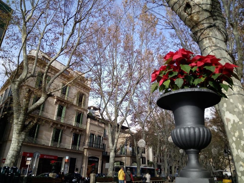 Archivo - Paseo del Born