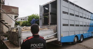 Catalunya