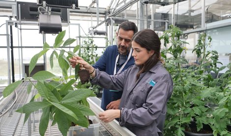 Málaga