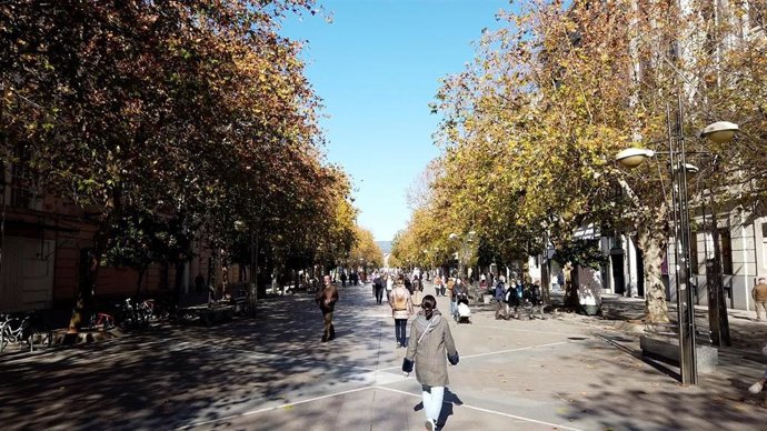Andalucía incrementa hasta los 14 millones el apoyo a los municipios para actuaciones frente al cambio climático.