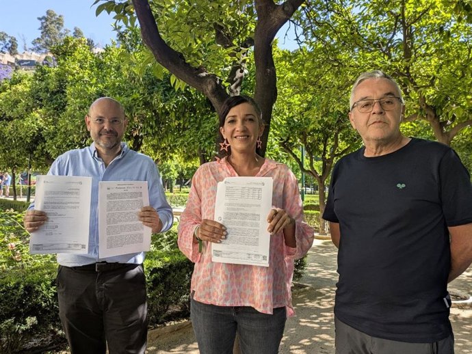La portavoz adjunta de Con Málaga, Toni Morillas, denuncia la falta de VPO en Málaga