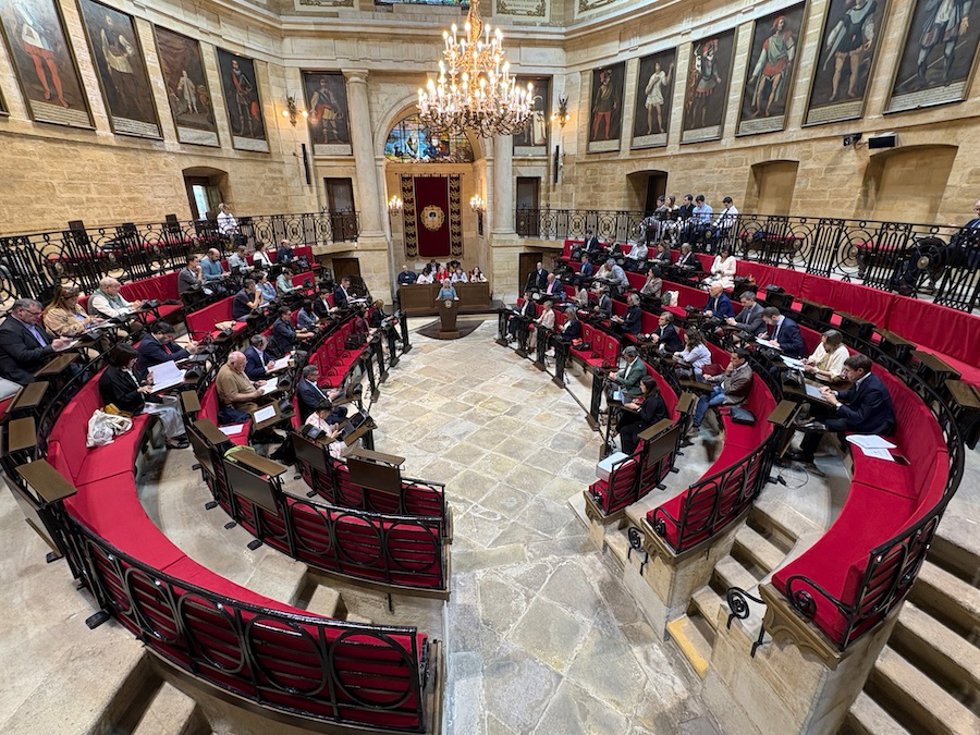 Archivo - Pleno de las Juntas Generales de Bizkaia
