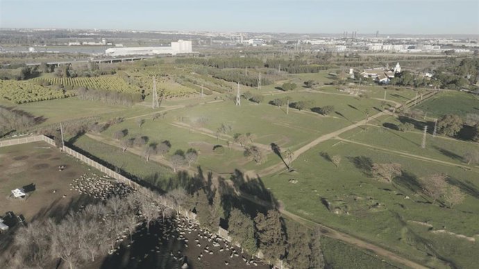 Vista aérea de los terrenos de Quarto, en el aérea metropolitana.