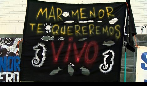 Vídeos