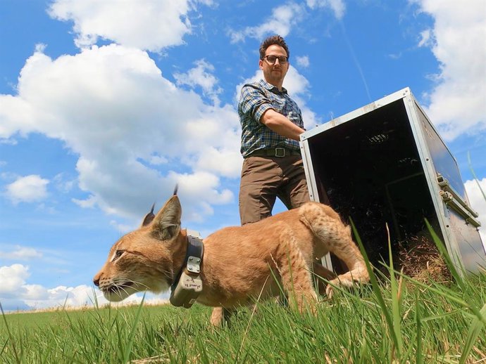 Planet Wild Co-Founder Markus Gilles releases a young lynx into the wild as part of the lynx reintroduction programme in the Harz region