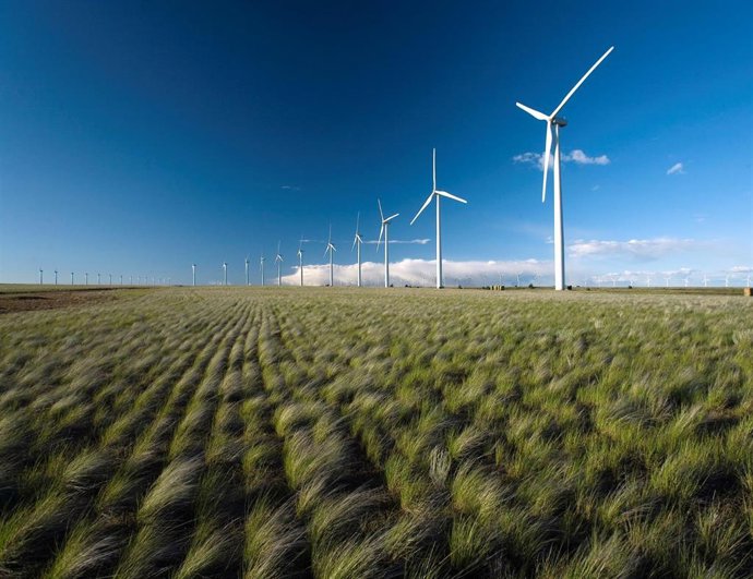 Parque eólico de Iberdrola