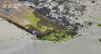 Pesca Galicia