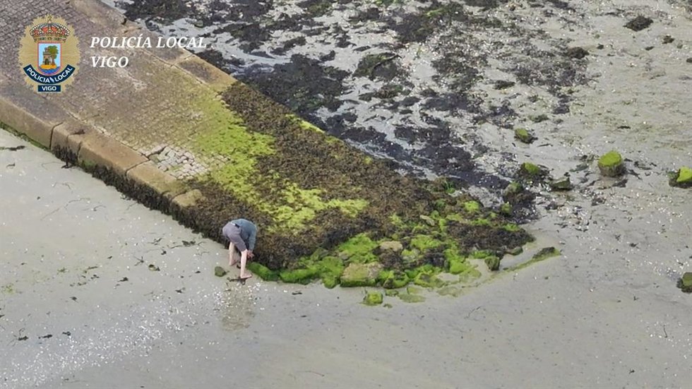 Denunciado un furtivo por extraer almeja ilegamente en una playa de Vigo.