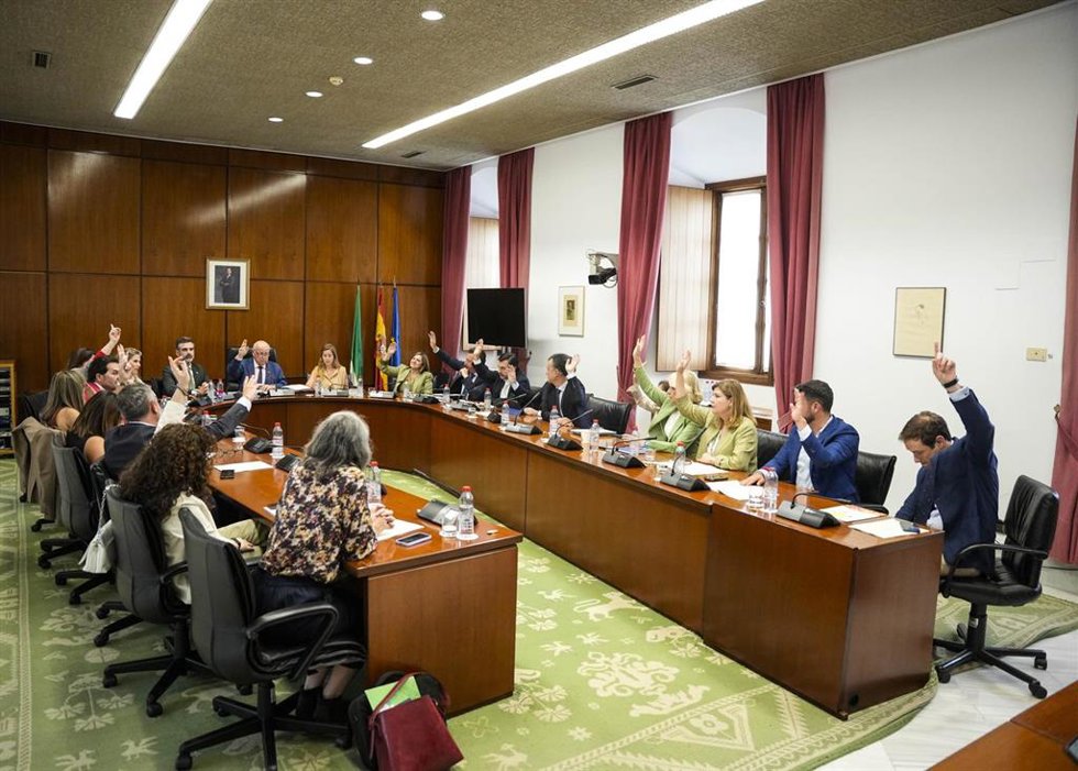 Reunión de la Diputación Permanente del Parlamento andaluz. (Foto de archivo).