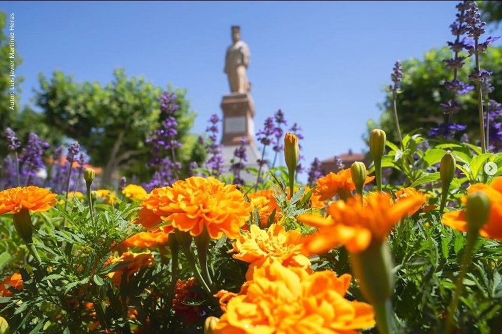 Comienza en Calahorra la campaña de plantación de primavera con más de 10.000 plantas