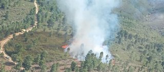 Más de 15 medios desplegados para controlar un incendio forestal en Serradilla del Llano (Salamanca)
