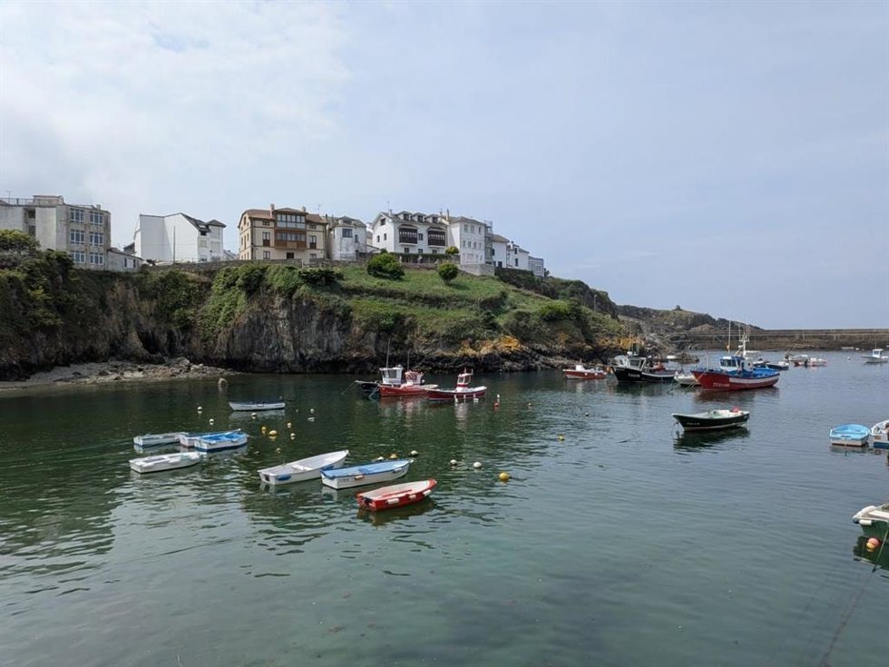 Barcos de pesca 