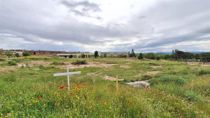 Archivo - Zona donde se construirá un cantón en Montecarmelo.