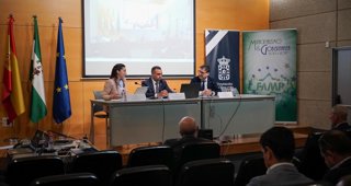 Federación Andaluza de Municipios y Provincias