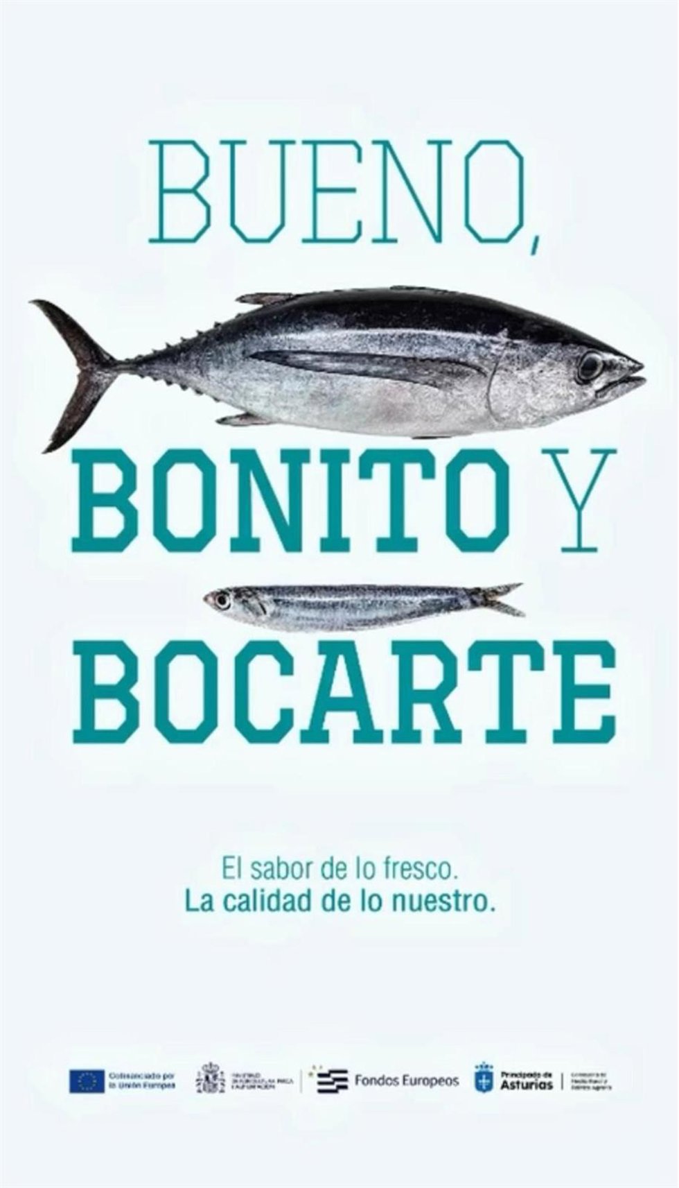 Medio Rural promociona el consumo de pescado fresco con la nueva campaña 'Bueno, bonito y bocarte'