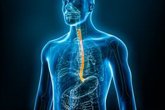 Foto: La contaminación y el uso precoz de antibióticos incrementan la incidencia de la esofagitis eosinofílica